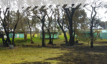 Plan and Prepare - 1050 Landing Page Homes near burnt bushland