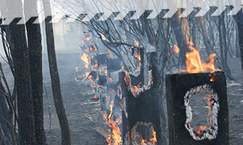 districtstandard_fence.jpg NSW RFS - Fencing damaged by a fire