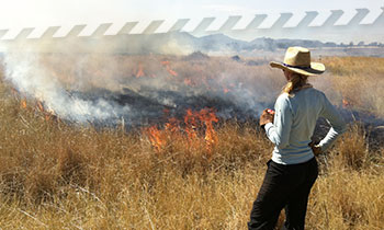 Fire Permits Image Fire Permits - Before You Light That Fire