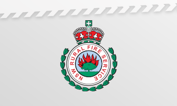 Insignia